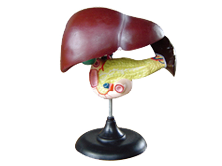 SD-093 33216ʮ֬cKģ